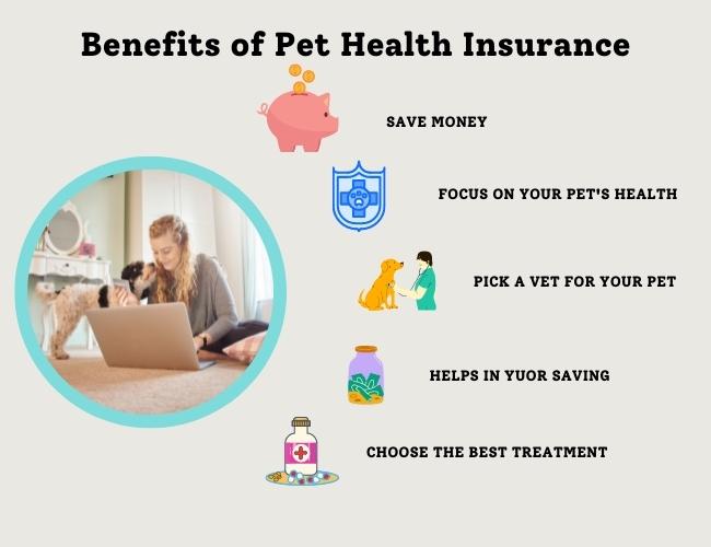 Ultimate Guide For Pet Insurance